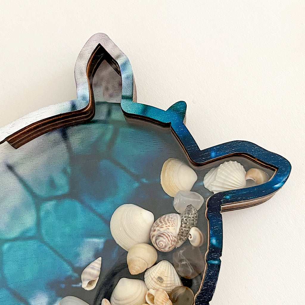 Wooden Display Case with Acrylic Window, Shadow Box for Seashells, Agates, Beach Glass, Sea Turtle, Maple (Blue & Green))