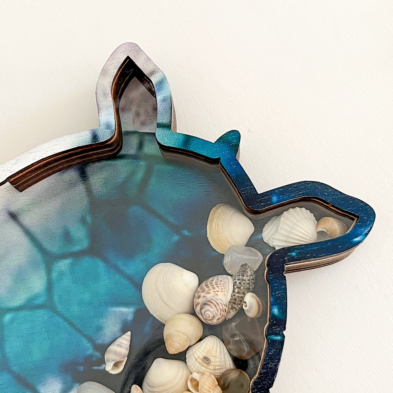 Wooden Display Case with Acrylic Window, Shadow Box for Seashells, Agates, Beach Glass, Sea Turtle, Maple (Blue & Green))
