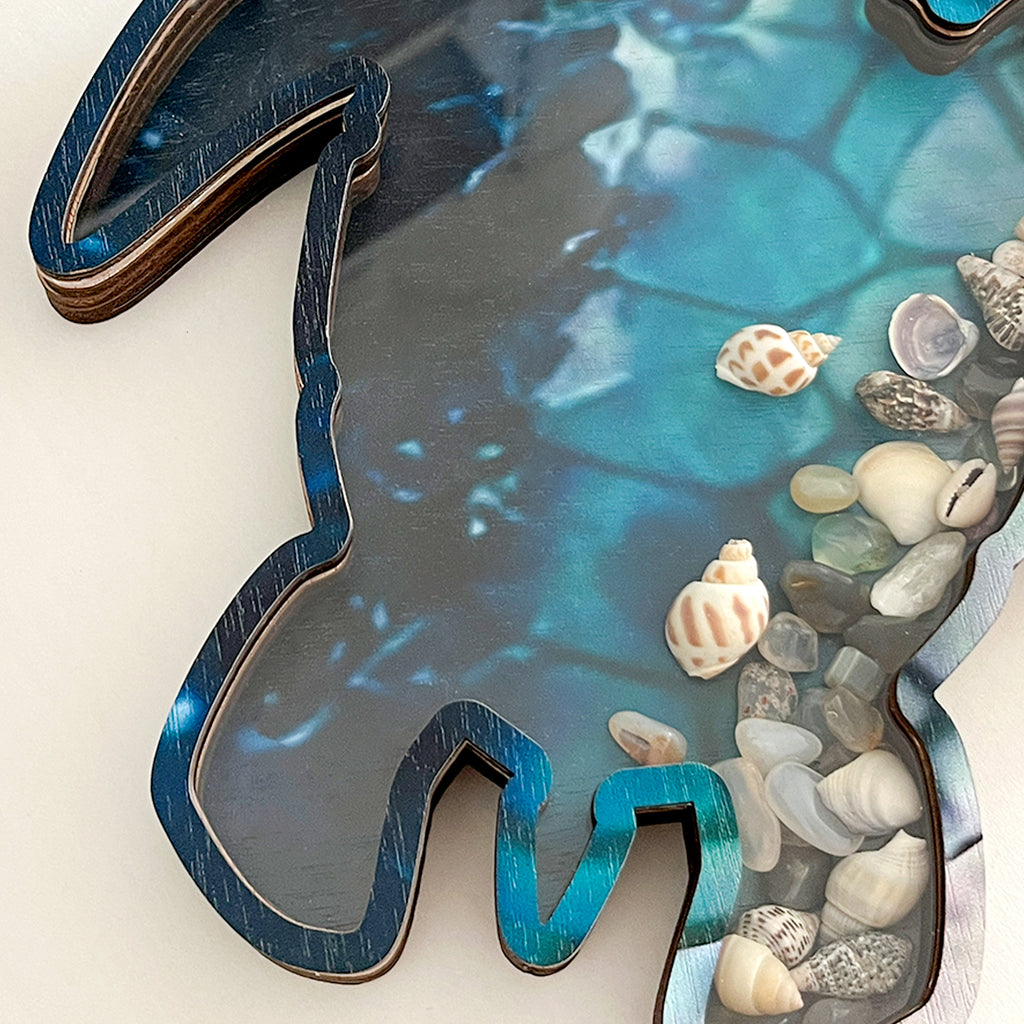 Wooden Display Case with Acrylic Window, Shadow Box for Seashells, Agates, Beach Glass, Sea Turtle, Maple (Blue & Green))