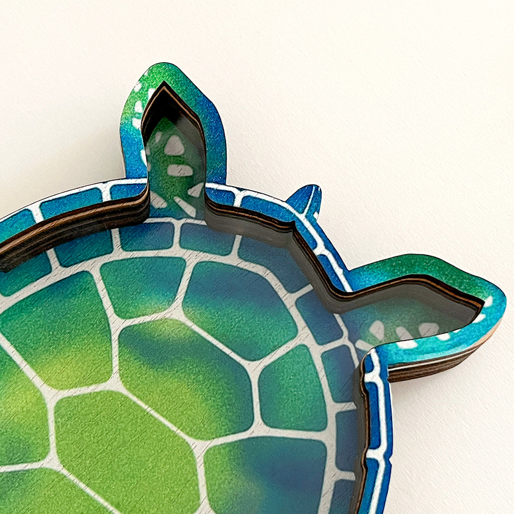 Wooden Display Case with Acrylic Window, Shadow Box for Seashells, Agates, Beach Glass, Sea Turtle, Maple (Blue & Green))