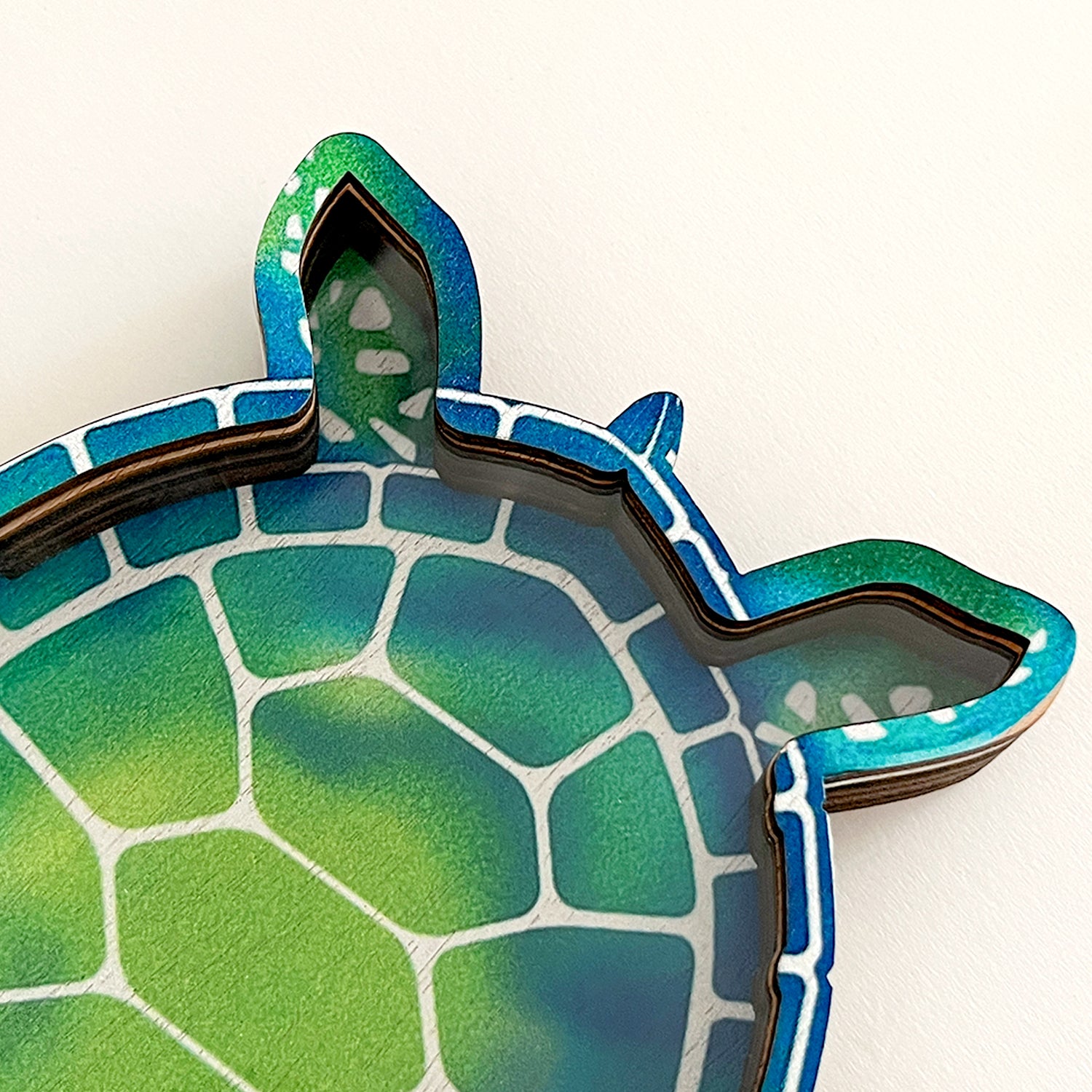 Wooden Display Case with Acrylic Window, Shadow Box for Seashells, Agates, Beach Glass, Sea Turtle, Maple (Blue & Green))